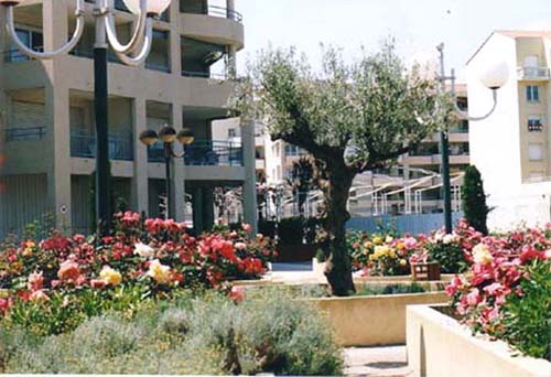 Affitto Appartamento Mare Antibes