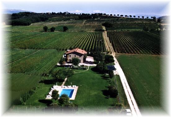 Affitto agriturismo campagna torgiano