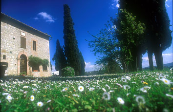 Affitto agriturismo campagna cetona