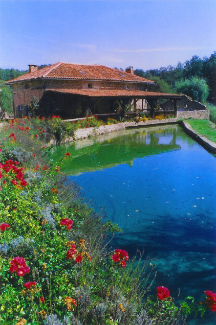 Affitto casa vacanze campagna busserolles