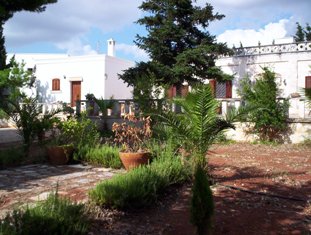 Affitto casa vacanze campagna ostuni
