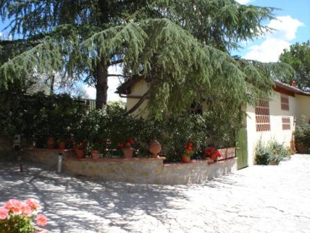 Affitto casa vacanze campagna impruneta