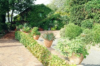 Affitto Casa vacanze Campagna massa e cozzile