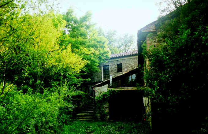 Affitto Casa vacanze Campagna pennabilli