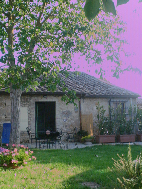 Affitto casa vacanze campagna monteriggioni località strove