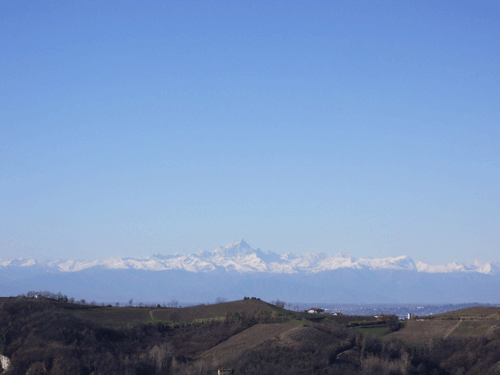 Affitto Casa vacanze Campagna Alba - Trezzo Tinella