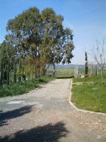 Affitto Appartamento Campagna santa luce