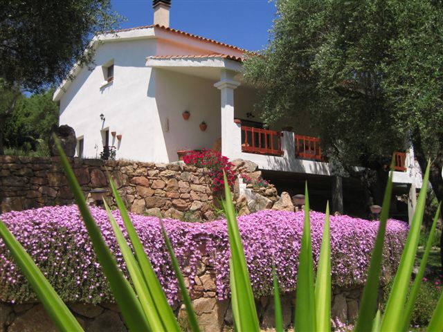 Affitto casa vacanze mare azzanidò