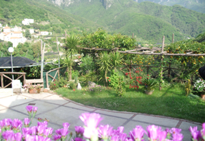 Affitto Appartamento Campagna tramonti