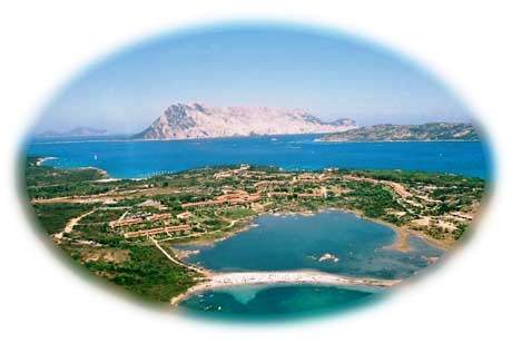 Affitto Appartamento Mare CODA CAVALLO