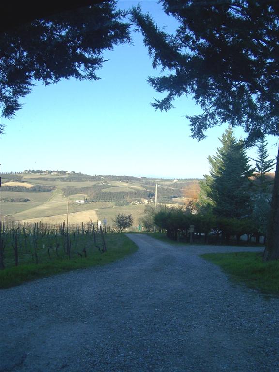 Affitto Appartamento Campagna Montespertoli