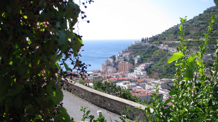 Affitto villa mare minori