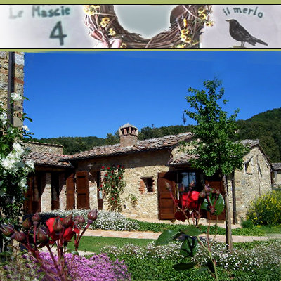 Affitto Casa vacanze Campagna Casole d' Elsa