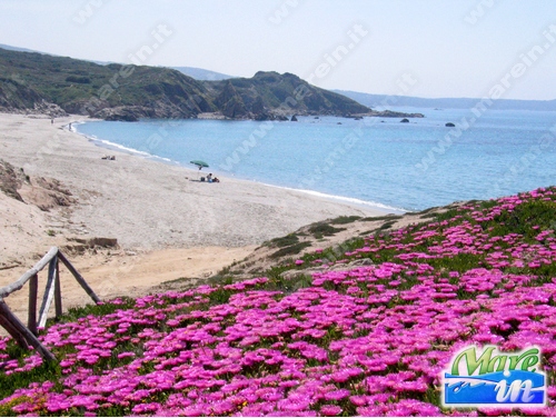 Affitto appartamento mare rena majore