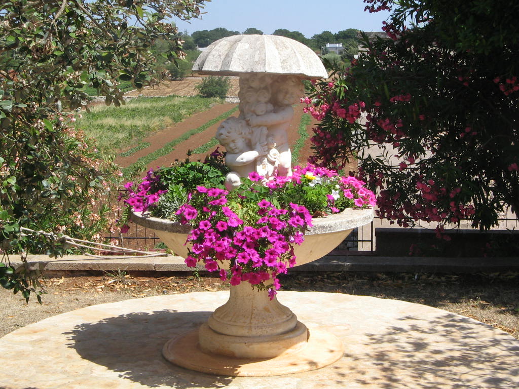 Affitto Villa Campagna locorotondo