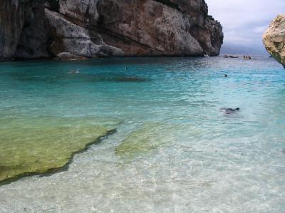 Affitto monolocale mare capo coda cavallo