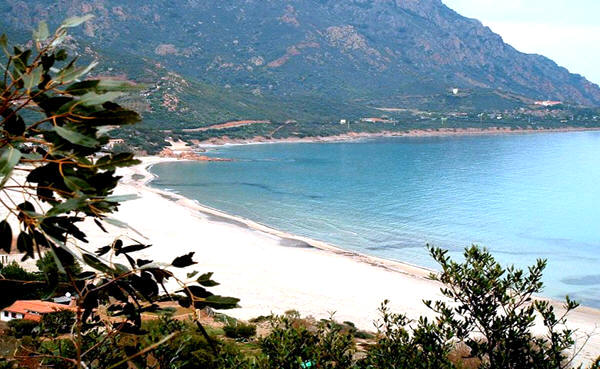 Affitto Villa Mare tertenia