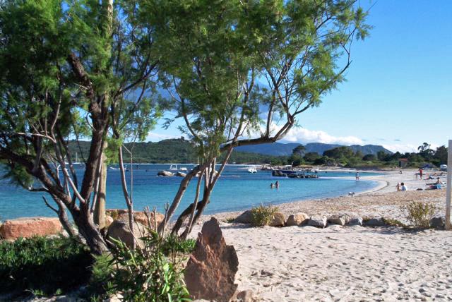 Affitto appartamento mare lecci/san cyprien