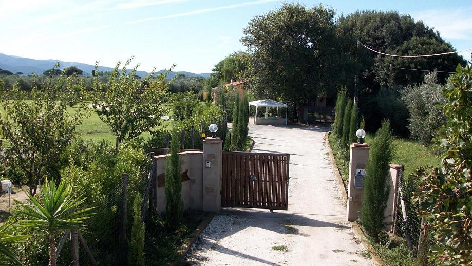 Affitto bungalow mare castagneto carducci