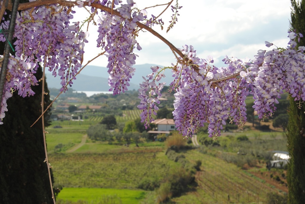 Affitto agriturismo mare porto azzurro
