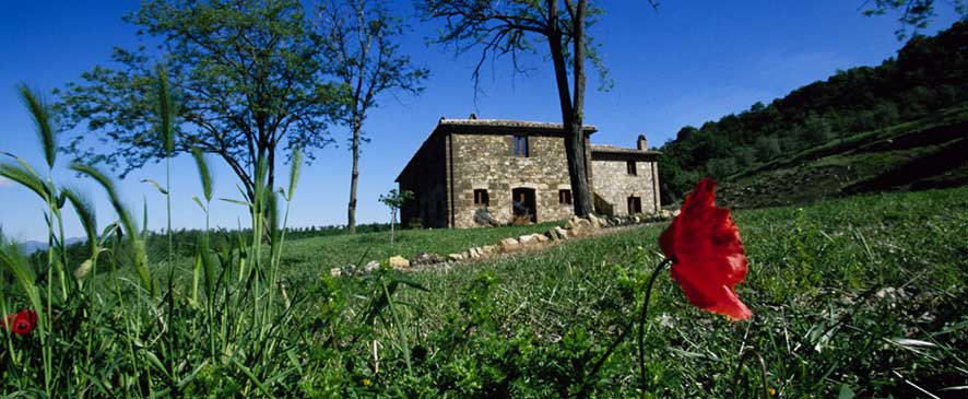 Affitto agriturismo campagna acquapendente