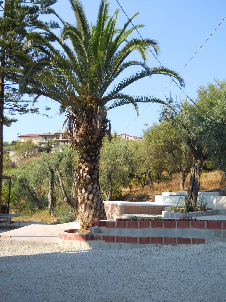 Affitto casa vacanze mare gioiosa marea