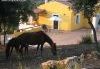 Affitto Bed & Breakfast Campagna SASSARI