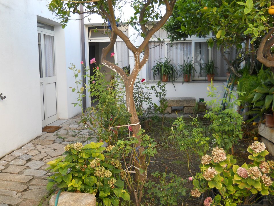 Affitto Appartamento Mare villasimius