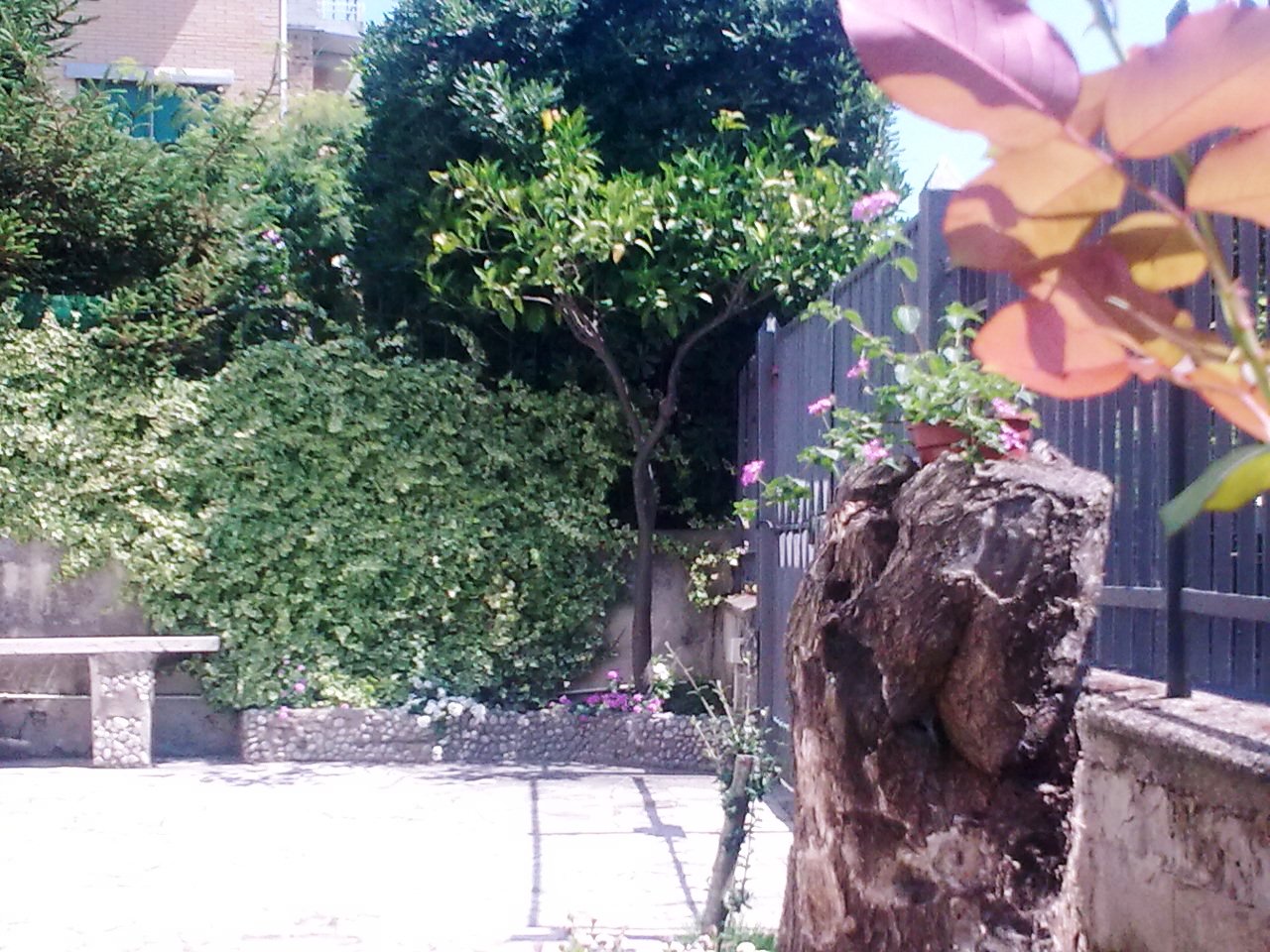 Affitto Appartamento Mare Scauri