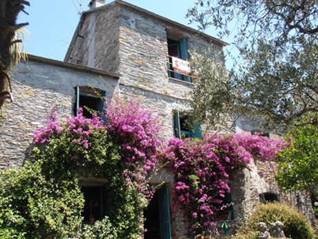 Affitto villa mare lavagna