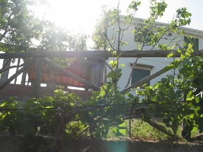 Affitto casa vacanze campagna catenanuova