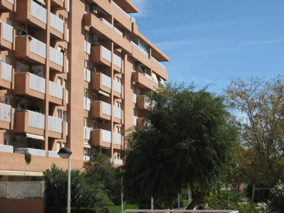 Affitto appartamento mare valencia