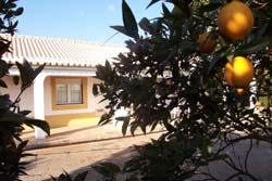 Affitto casa vacanze campagna tavira