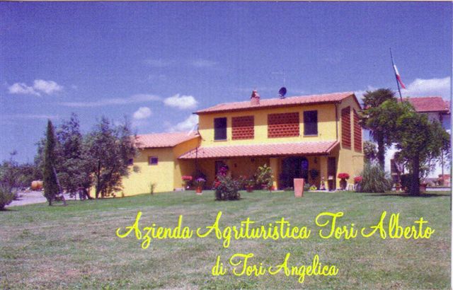 Affitto casa vacanze campagna montecarlo