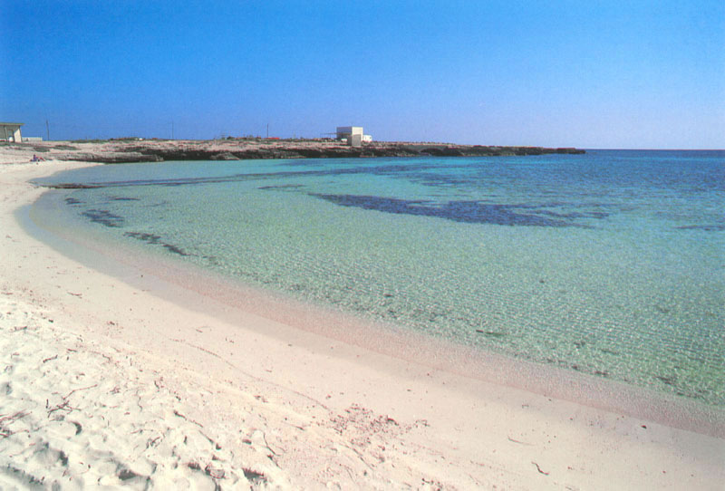 Appartamento Favignana Affitto Appartamento Favignana Affitto