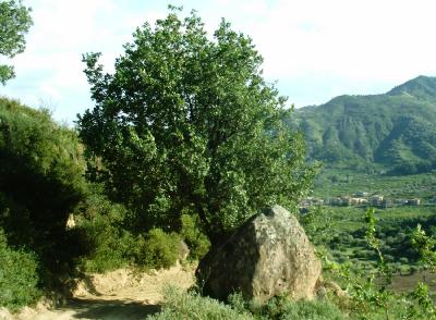 Affitto casa vacanze mare graniti