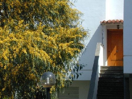 rent Apartment Villa Country House
