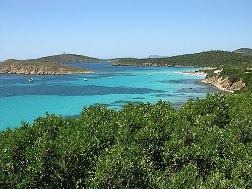 Holiday house rentals