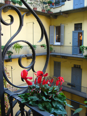 Affitto monolocale citta milano