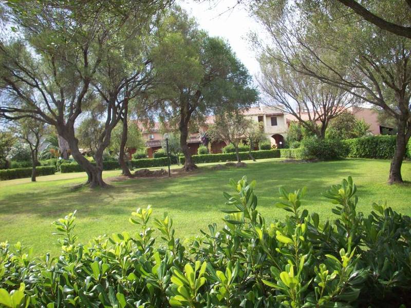 Affitto appartamento mare olbia