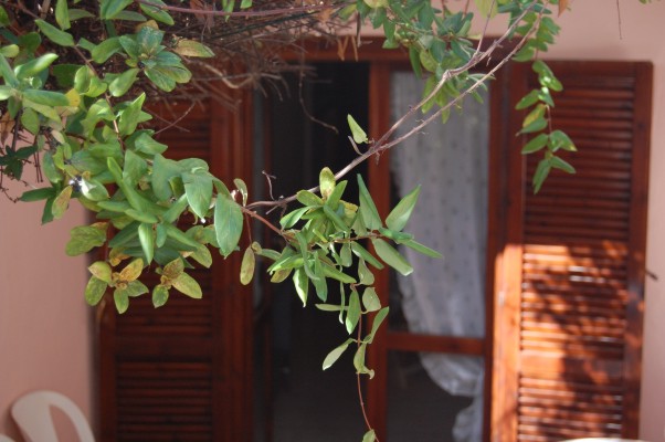 Affitto casa vacanze mare villasimius