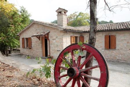 Affitto Appartamento Campagna ARCEVIA