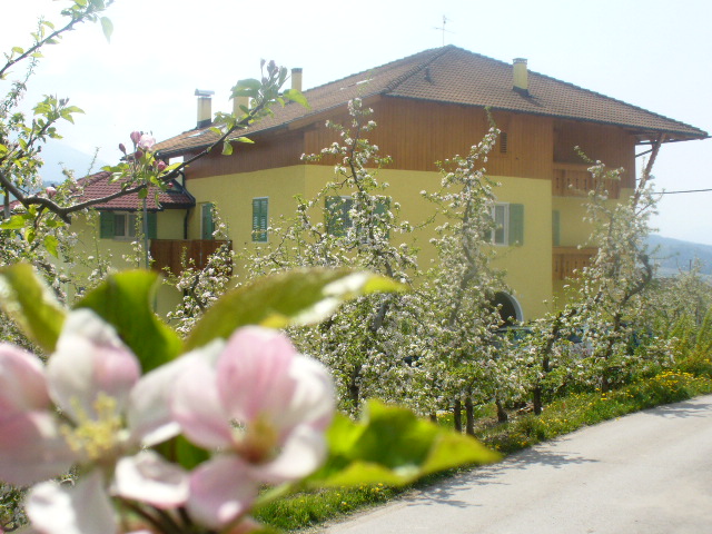 Affitto Appartamento Montagna BREZ