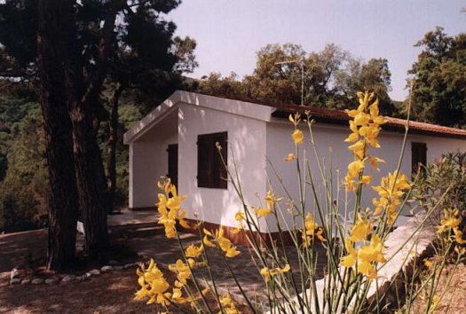 Affitto casa vacanze mare capoliveri