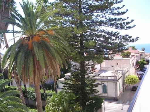 Affitto appartamento mare tropea