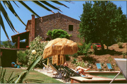 Affitto agriturismo campagna sassetta