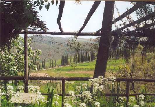 Affitto casa vacanze campagna castel focognano