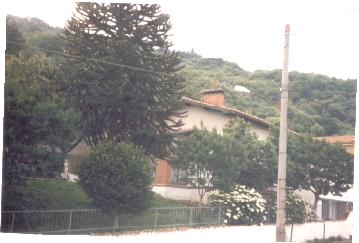 Affitto casa vacanze montagna massa