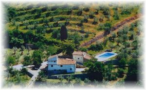 Affitto agriturismo campagna fiesole