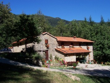 Affitto agriturismo montagna pratovecchio